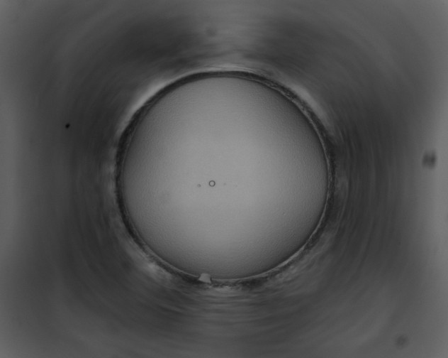 X0000101141460200807181243