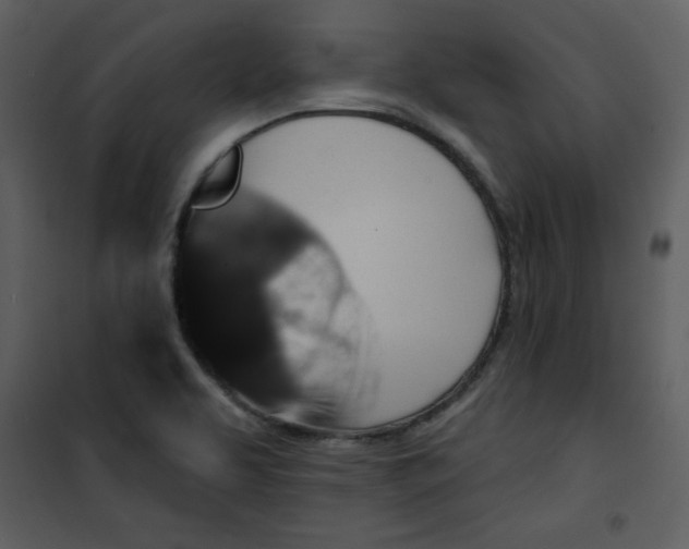 X0000101141463200807181243