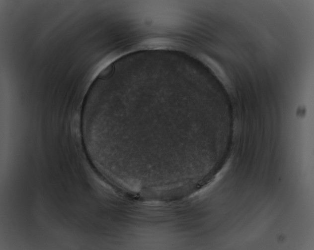 X0000101141465200807181243