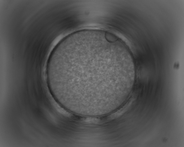 X0000101141466200807181243