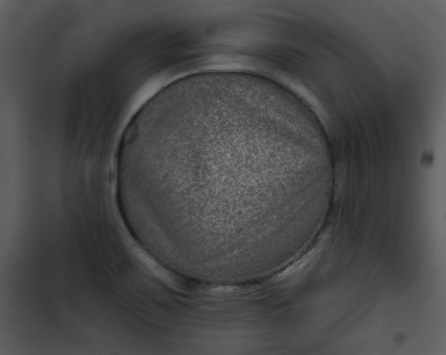 X0000101141467200807181243