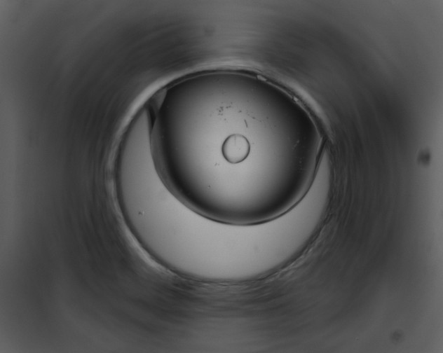 X0000101141468200807181243