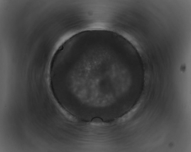 X0000101141469200807181243