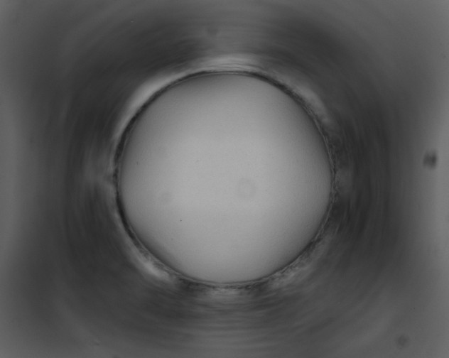 X0000101141470200807181243