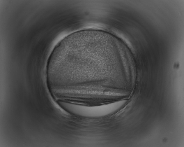 X0000101141471200807181243