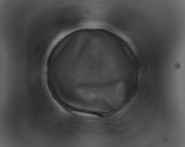 X0000101141472200807181243