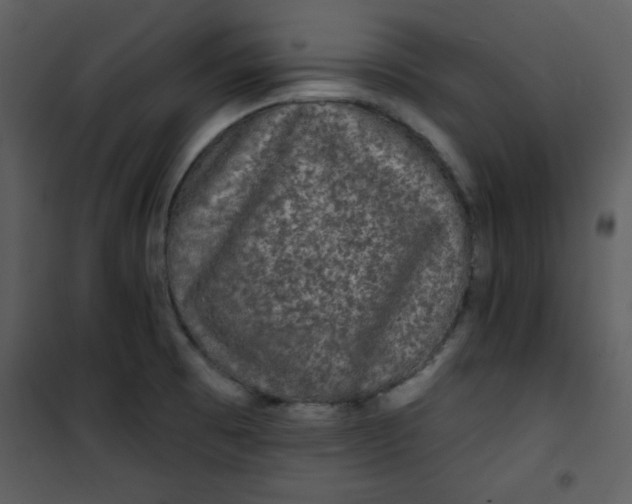 X0000101141473200807181243