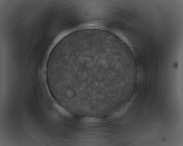 X0000101141474200807181243