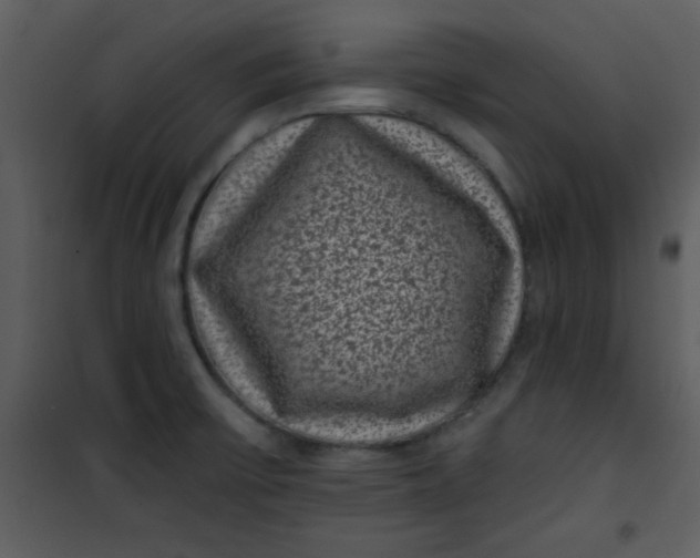 X0000101141475200807181243