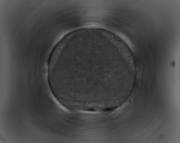 X0000101141476200807181243