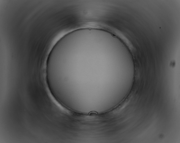 X0000101141479200807181243