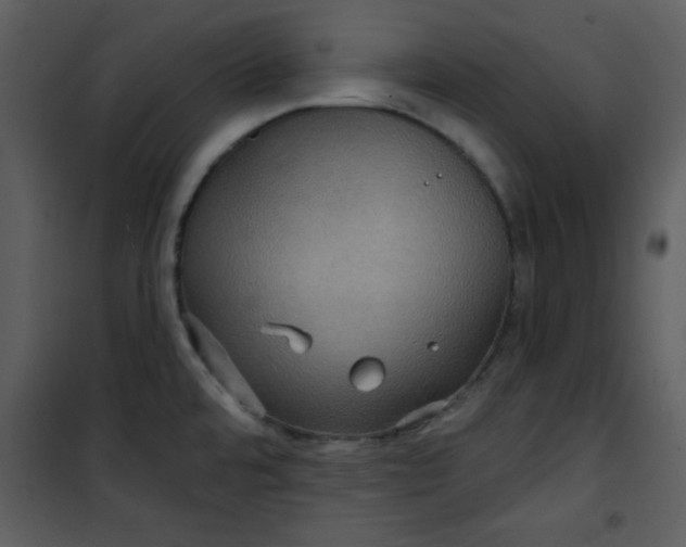 X0000101141480200807181243