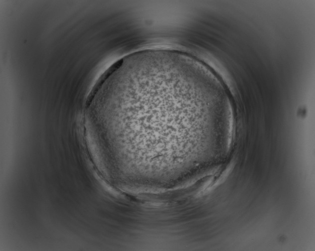 X0000101141481200807181243