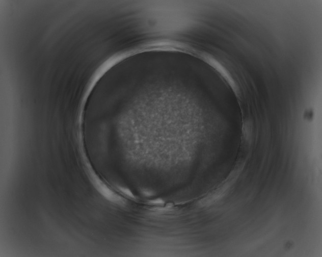 X0000101141482200807181243