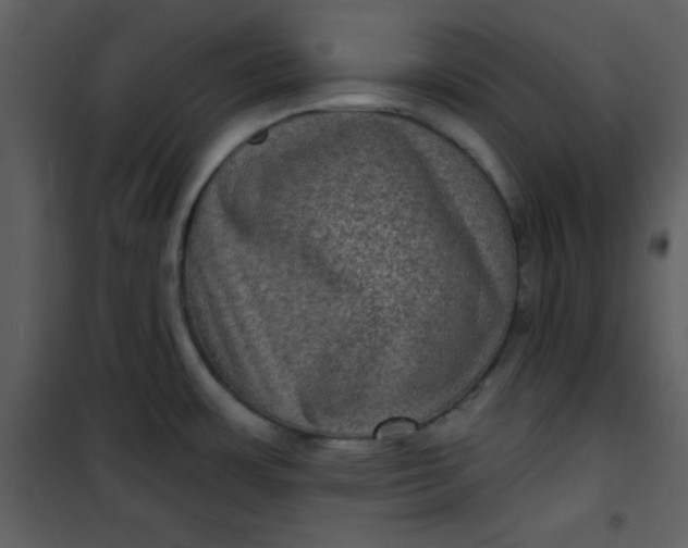 X0000101141483200807181243