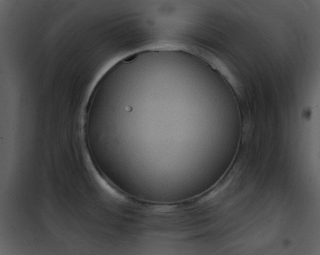 X0000101141484200807181243