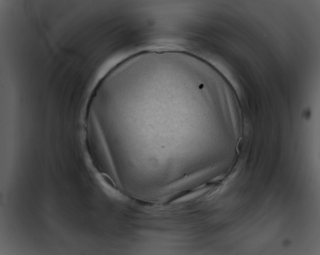 X0000101141485200807181243