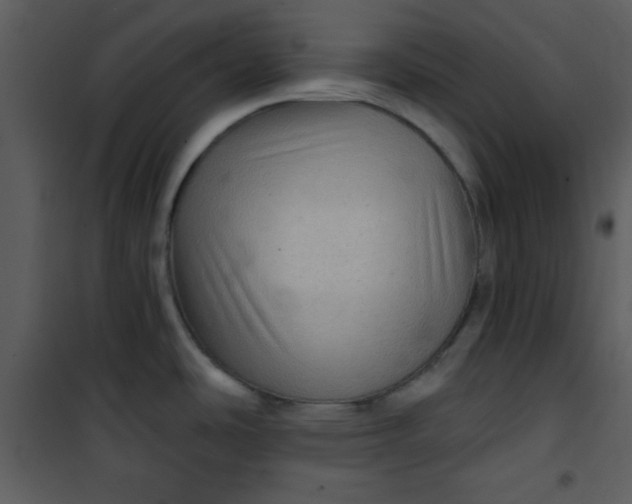 X0000101141486200807181243