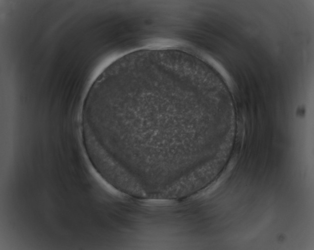 X0000101141487200807181243