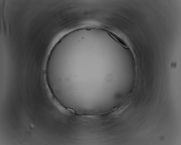 X0000101141488200807181243