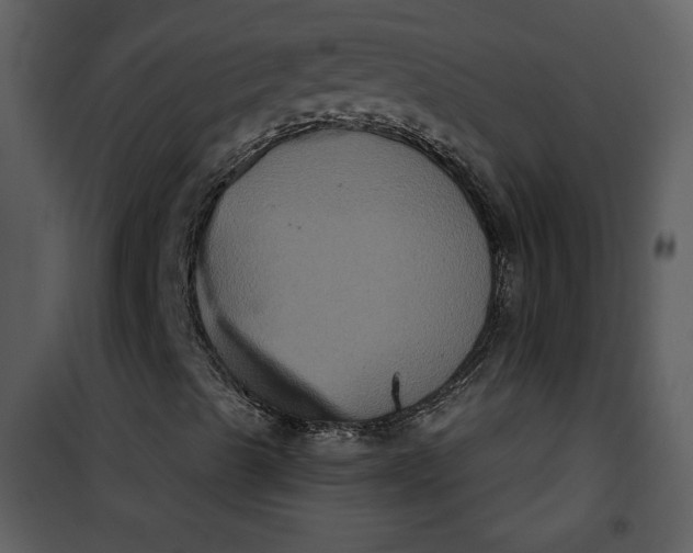 X0000101141489200807181242