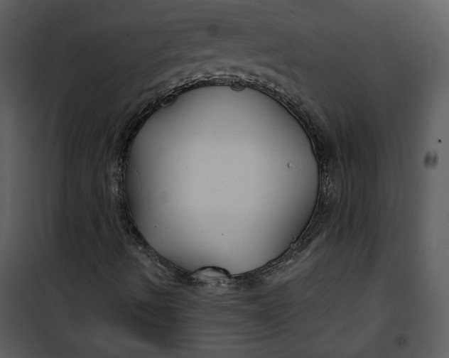 X0000101141490200807181242