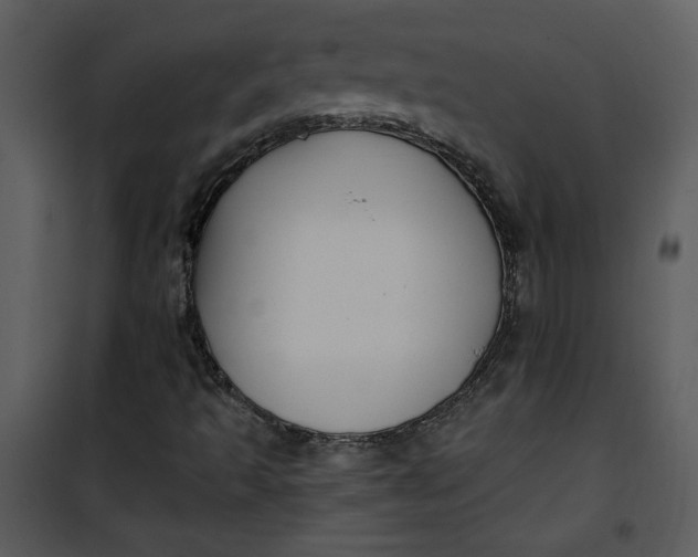 X0000101141493200807181242