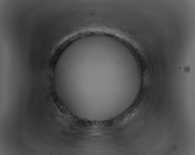 X0000101141494200807181242