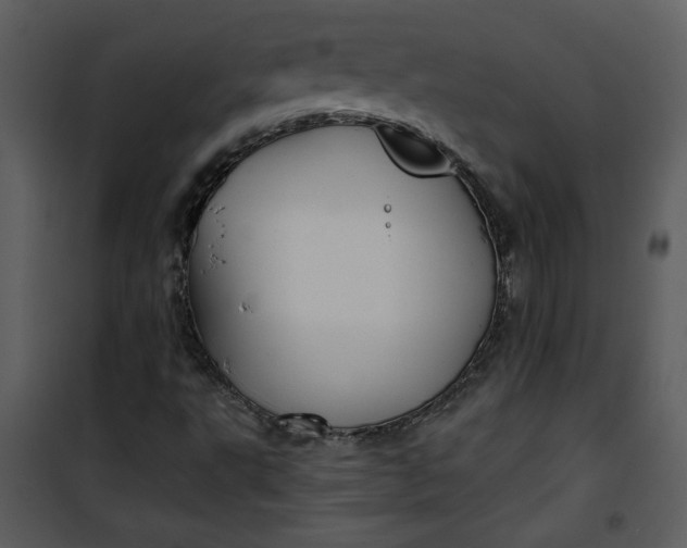 X0000101141495200807181242