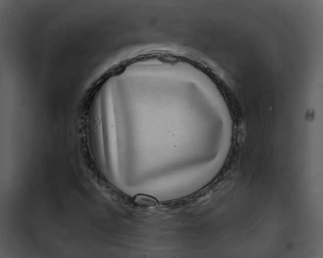 X0000101141496200807181242