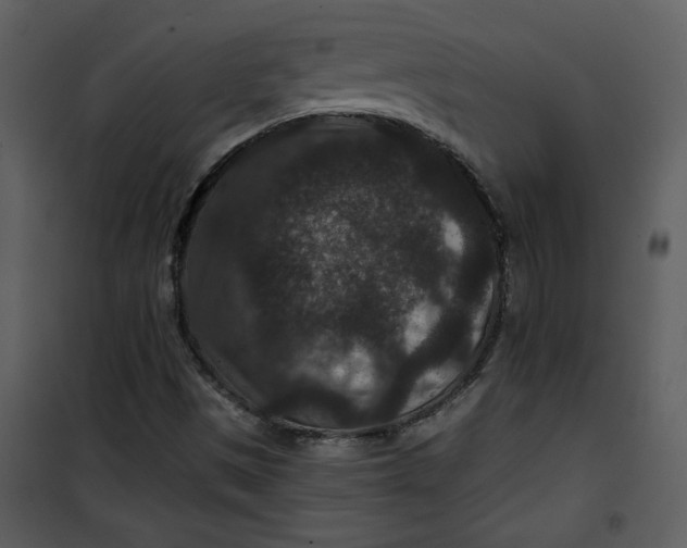 X0000101141497200807181242