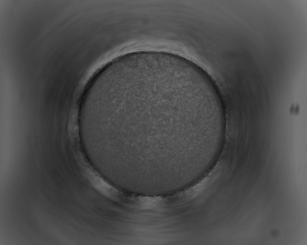 X0000101141498200807181242