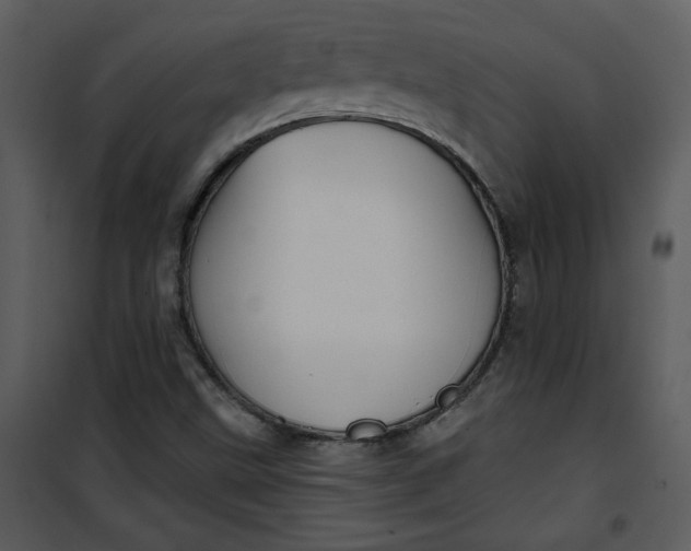 X0000101141499200807181242