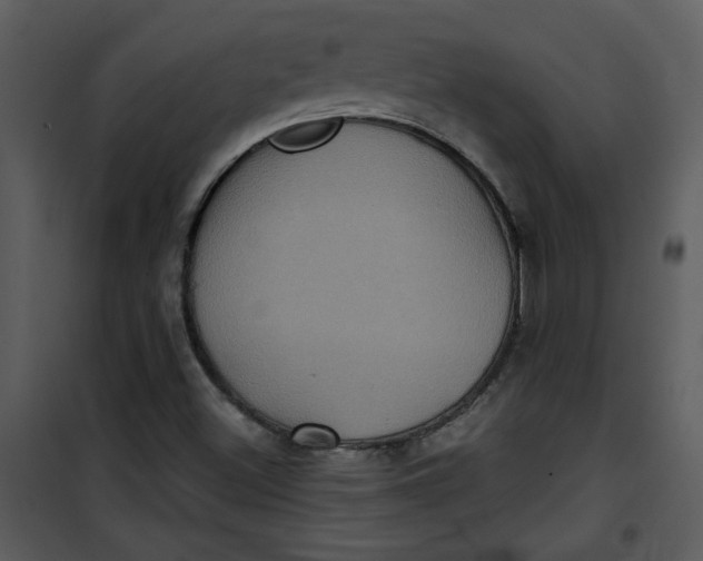 X0000101141500200807181242