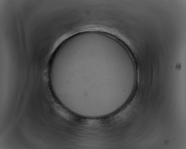 X0000101141501200807181242