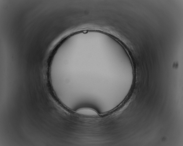 X0000101141502200807181242