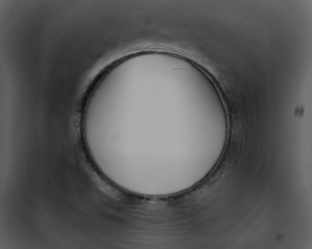 X0000101141503200807181242