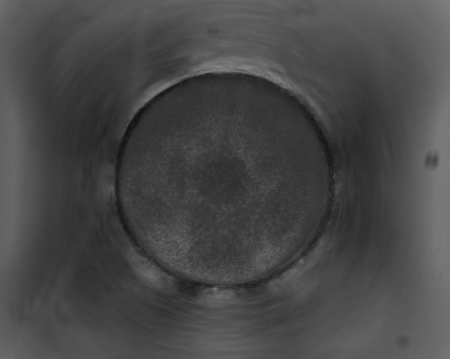 X0000101141505200807181242