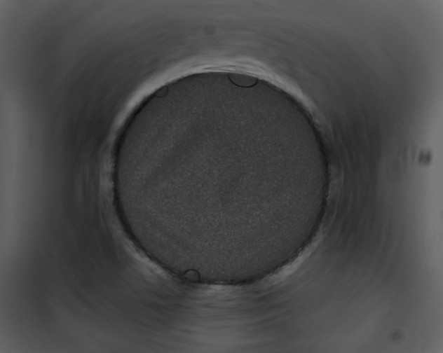 X0000101141506200807181242