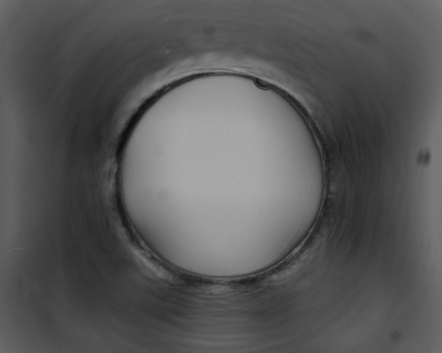 X0000101141507200807181242