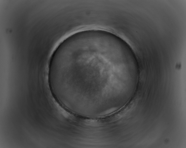 X0000101141508200807181242