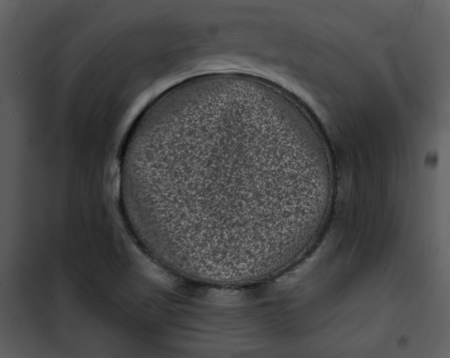 X0000101141509200807181242