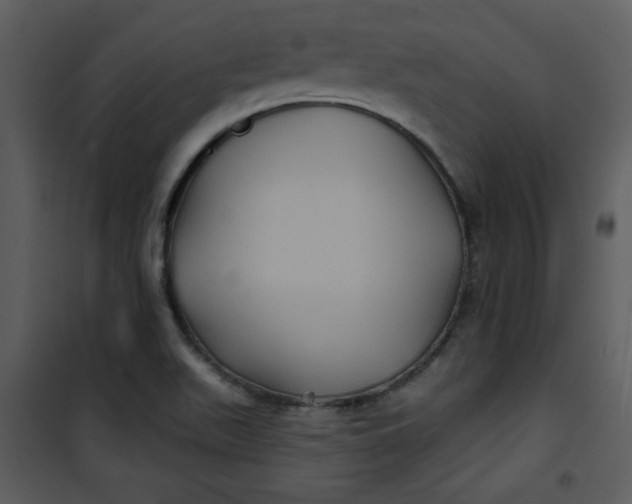 X0000101141511200807181242