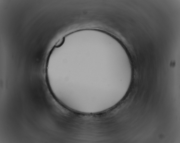 X0000101141512200807181242