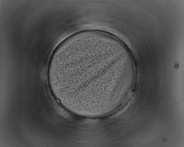 X0000101141513200807181243