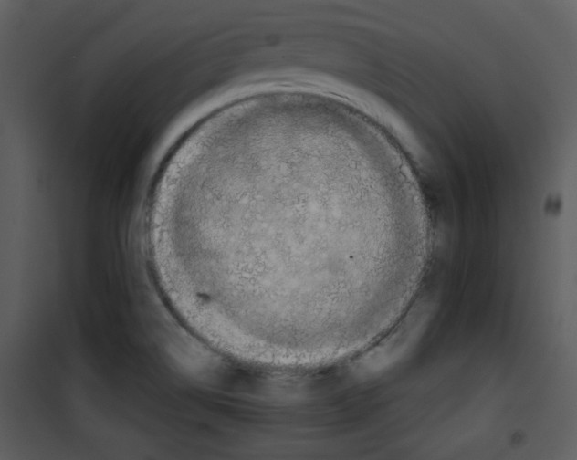 X0000101141514200807181243