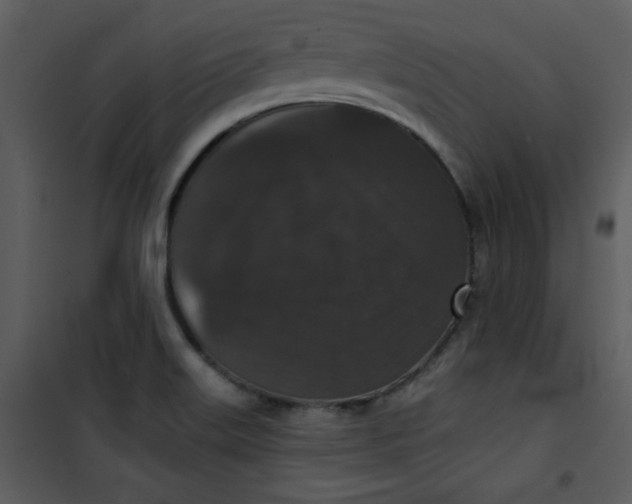 X0000101141515200807181243