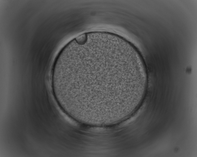 X0000101141517200807181243