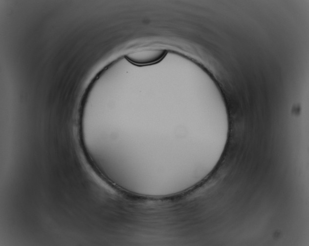 X0000101141518200807181243