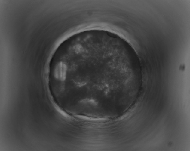 X0000101141519200807181243